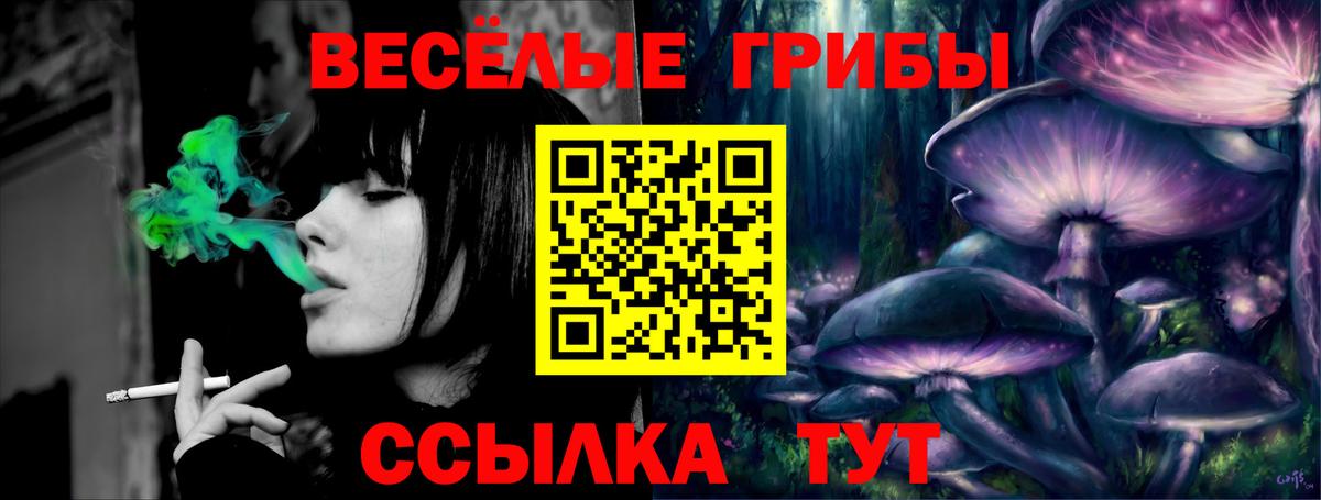 Галлюциногенные грибы GOLDEN TEACHER Североуральск